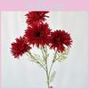 African Gerbera Jamesonii Bolus Wedding Decor For Home And Event Use