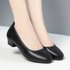 Fashion Women Black Shallow Mouth Low Heels Spring Autumn Fashion Round Head Thick Heeled Lightweight Work Office Single Shoes