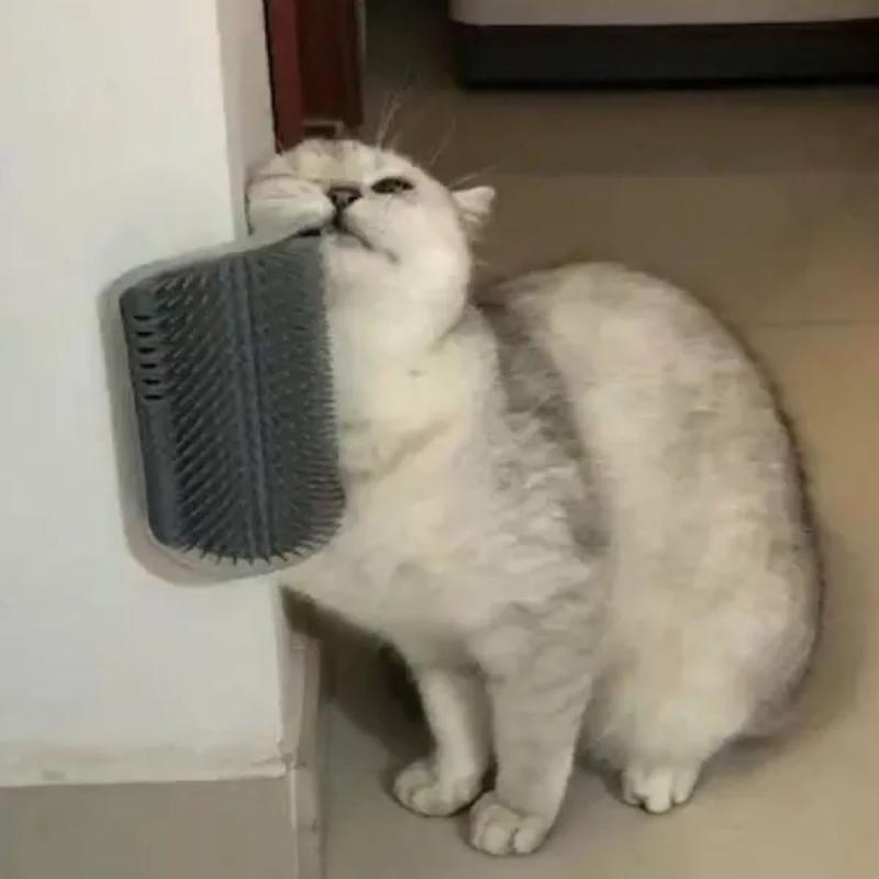 Cat Massage Comb Kitten Self Grooming Scratcher Wall Corner Brush Cats  Scratch Bristles Arch Toy Pet Plastic Hair Removal Tool Buy cheaply on Joom