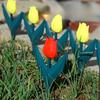 10pcs Plastic Tulip Flower Shape Garden Fence, Easy Assemble Decorative Edging For Fairy Garden, Yard, Outdoor Decor