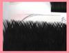 2024 V-Shaped Magnetic Grafting Eyelashes, 0.06 Natural Dense Blooming False Soft Lash Extensions