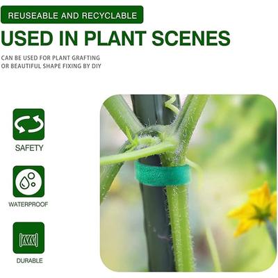 Green Plant Gardening Self-adhesive Plant Binding Tape, Green Climbing Plant Binding And Fixing  Binding Tape, Flower Binding Tool