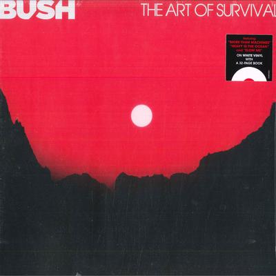 Χόμπι και δημιουργικότητα – Μουσική