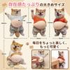 GOKEI Puni Puni Bauch Dichtungs 3D Aufkleber Weich Quetschbar Stressabbau Katze Hund Shiba Inu Dreifarbig Pummelig 3 Sets 6 Stück