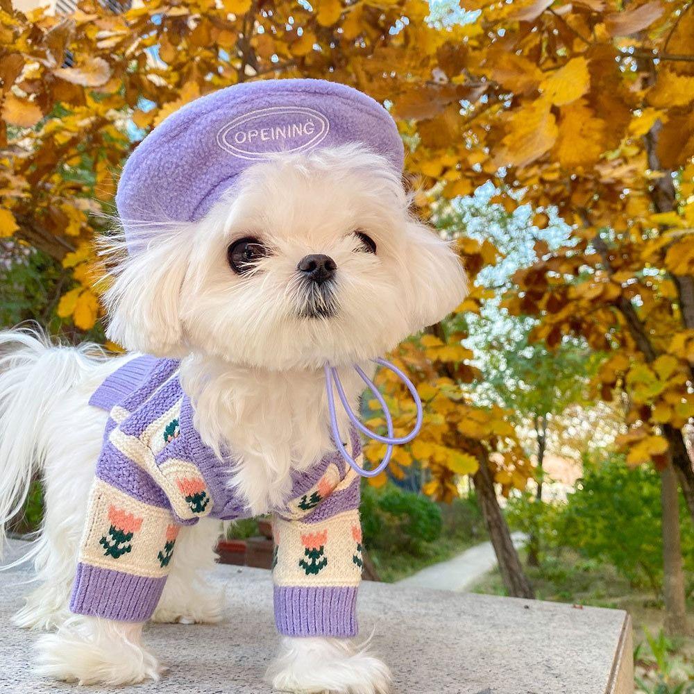 

Adjustable Pet Decorative Beret Hat Wool Dog Beret Dog Wool Cap for Dogs Puppy Cats зелёный