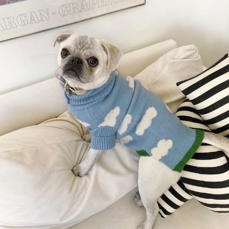 

Dog Cloud Sweater Warm Clothing for Cats in Spring Autumn Winter High-necked Pet Clothing Two-Legged Pet Sweater Puppy Clothes XXS