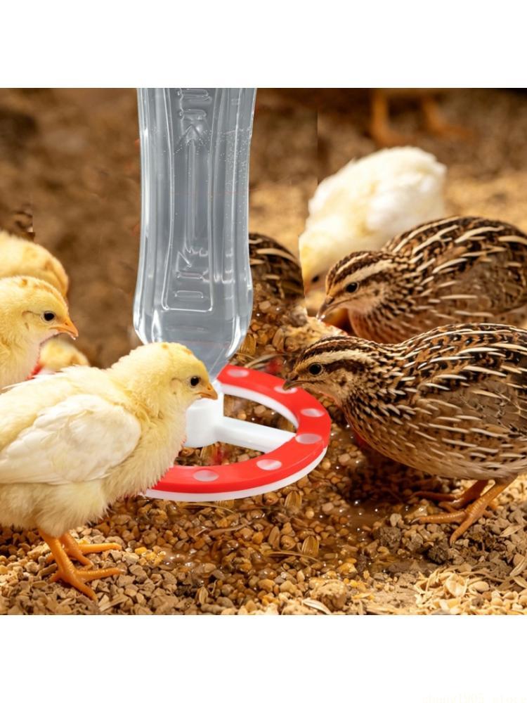 QX2E Automatic Chicken Drinker For Small Poultry Farm Features 12 Drinking Harbors And Waterproof Construction