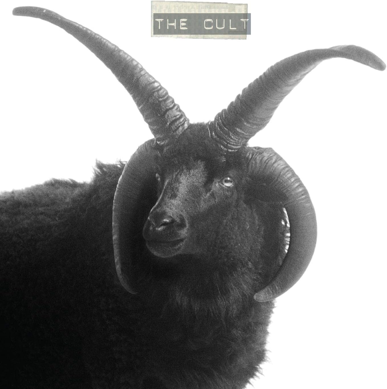 

LP Record CULT - The Cult BBQ2299LP Beggars Arkive 2023 Worldwide Dance & Electronica
