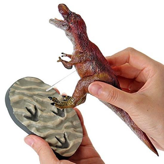 Calorata Feathered Dinosaur 3D Encyclopedia Includes Manual and Realistic Figure Educational Food Sanitation Law Gift Figures, (7 Dinosaurs, Stand),
