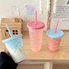 Girly Heart Large Capacity Straw Cup for Summer - Portable for Home, Travel, Milk Tea, Cold Drinks, Water, On-the-Go Use