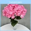 Macrophylla Hydrangea Artificial Home Decor For Wedding And Use Photography