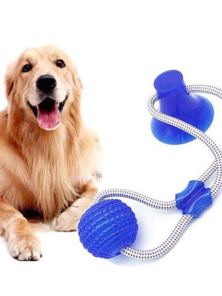 dog bite toy