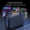Philips 120W High-Fidelity Karaoke Speaker SD228-2 CN plug (adapter included)
