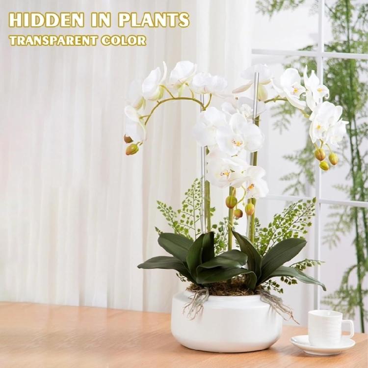 16/30 Pezzi 15,6 Pollici Supporti per Piante in Acrilico Paletti da Giardino Paletti Trasparenti per Orchidee Trasparenti