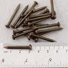 Antique Brass Round Head Copper Nails for Hinges & Decorative Use, Golden Finish, Small Size