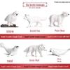 Kids' Arctic Animal Model Set: Polar Bear, Arctic Hare, Reindeer & Beluga Whale