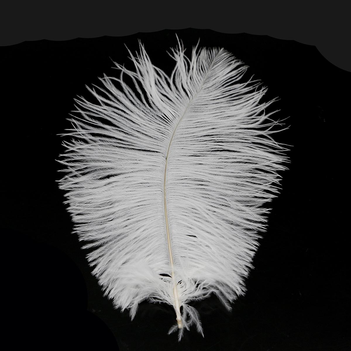 

Красиві страусині пір я для виготовлення ювелірних виробів своїми руками Декор весільних вечірок Аксесуари Весільні прикраси 15-20cm 10pcs білий