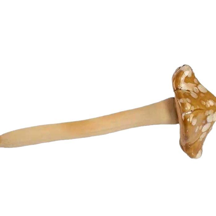 Ceramic Mushroom Ornaments for Garden, Backyard, or Pond Landscaping