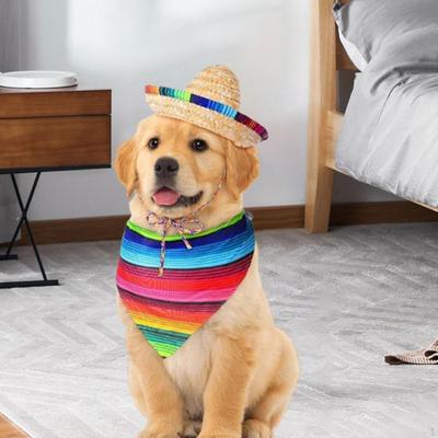 Sombrero för hundar, Stråhatt, Mexikansk bandana, Roliga söta fotorekvisita kostym, Husdjurs triangel haklapp