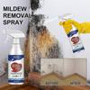 2x Mould Remover Effective Mould Spray, Fast & Mildew Cleaner