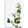 Canvas Print, Green Twig Nature