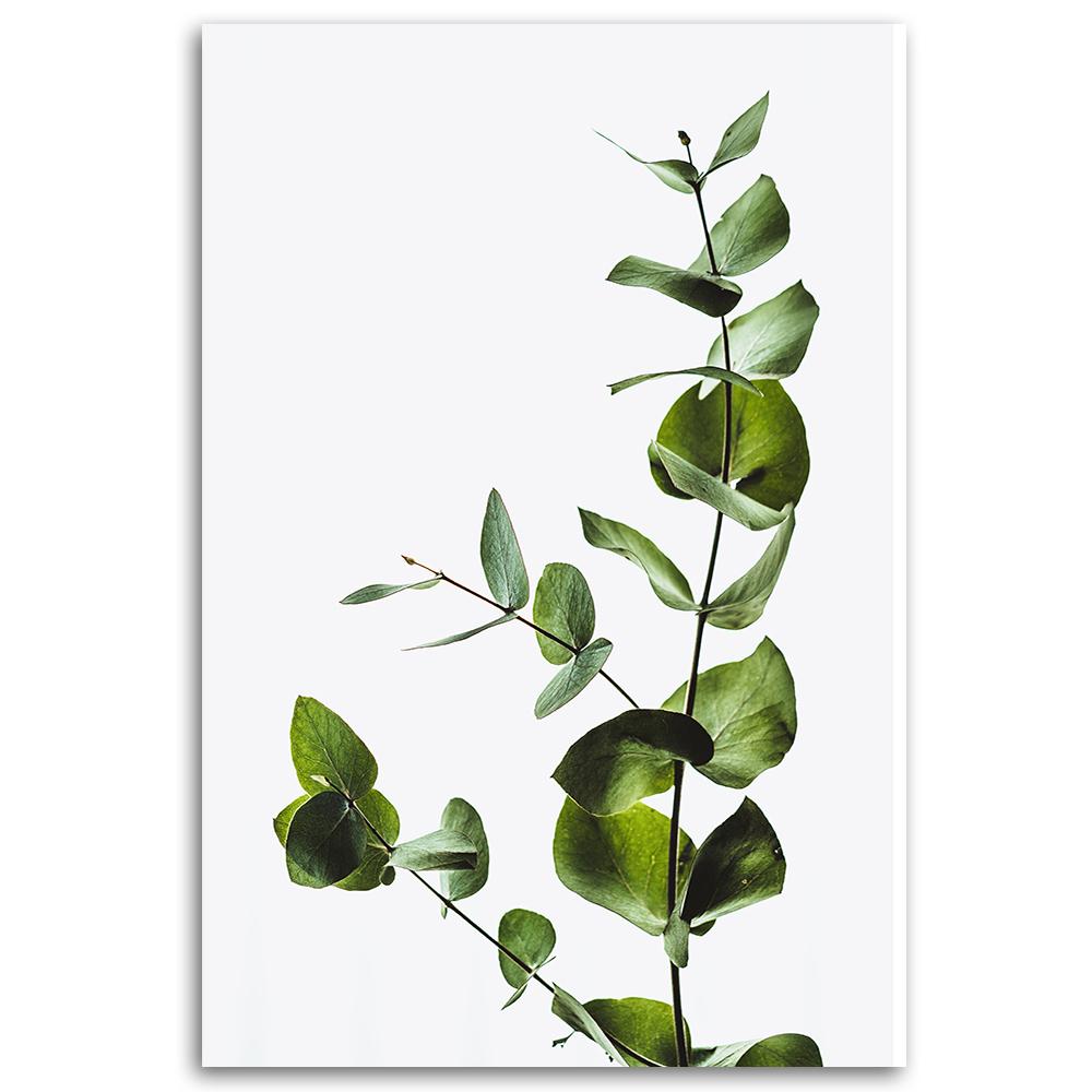 Canvas Print, Green Twig Nature