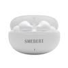 SMEBERT D18 True Wireless Noise-Cancelling Earbuds