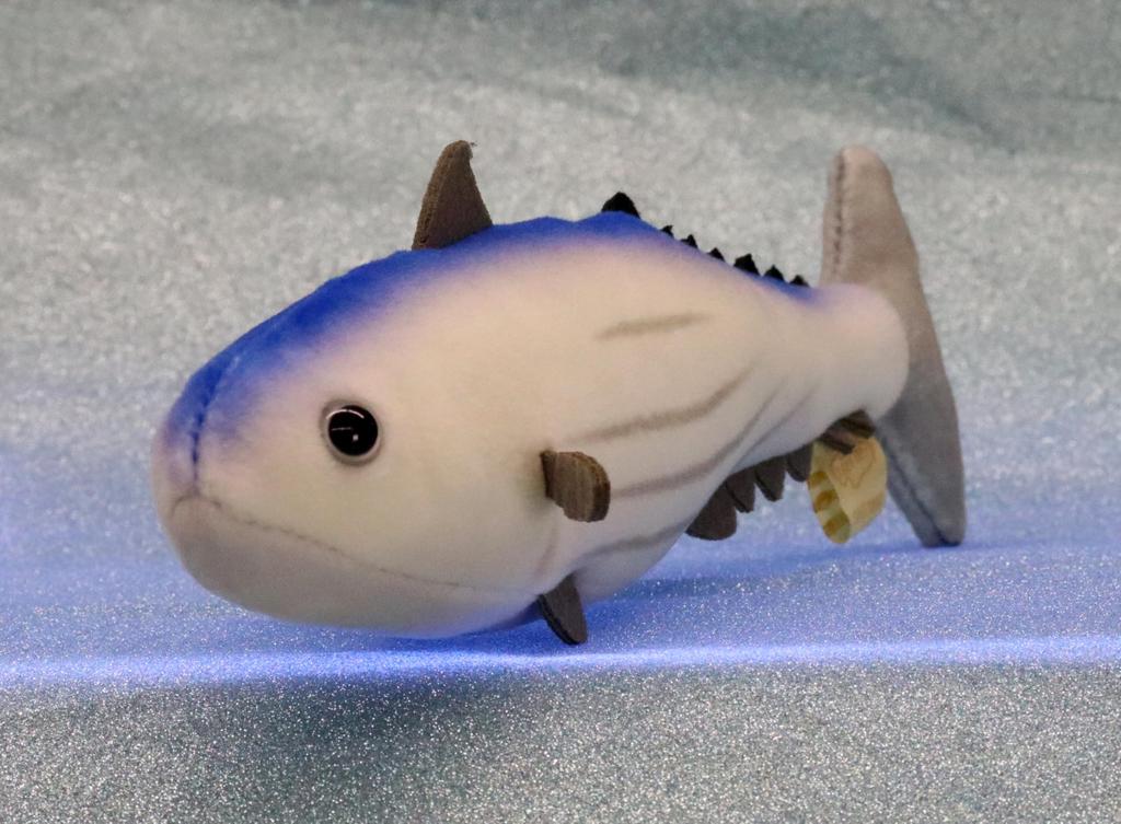 Take Off Pish - A small, colorful fish plush toy that makes a "beep" sound when you press its belly.