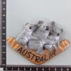 Australia Fridge Stickers Home Decor Photo Wall Mangetic Stickers Wedding Birthday Gifts Travelling Souvenirs Fridge Magnets