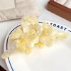 High-End Acetate Three-Dimensional Flower Claw Clips, Fresh Textured Large Hair Clips, Versatile Shark Clip Hair Accessories for Women