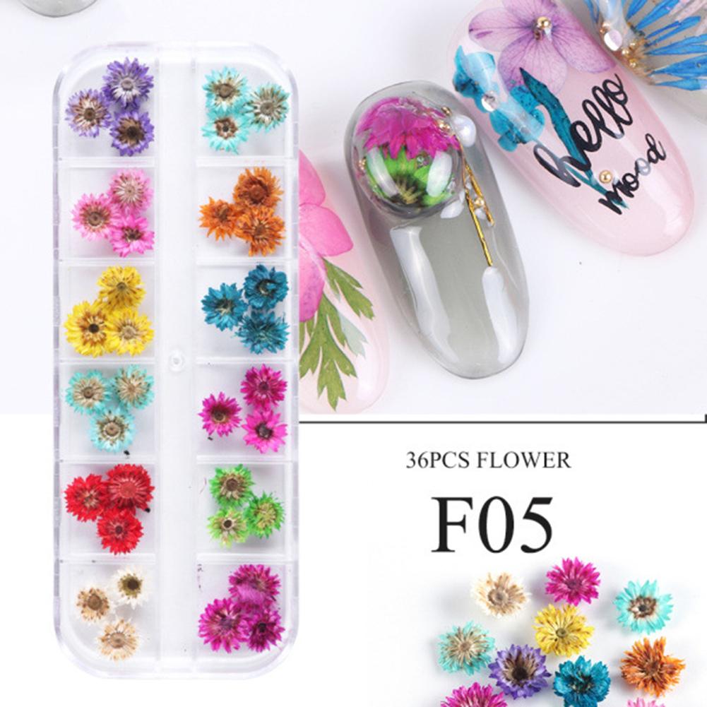 3D Nail Manicure Dried  Flowers 12 Kinds Colorful Realistic Diy Crafts Resin Jewelry Ornaments Phone Cases Invitation Cards Decor