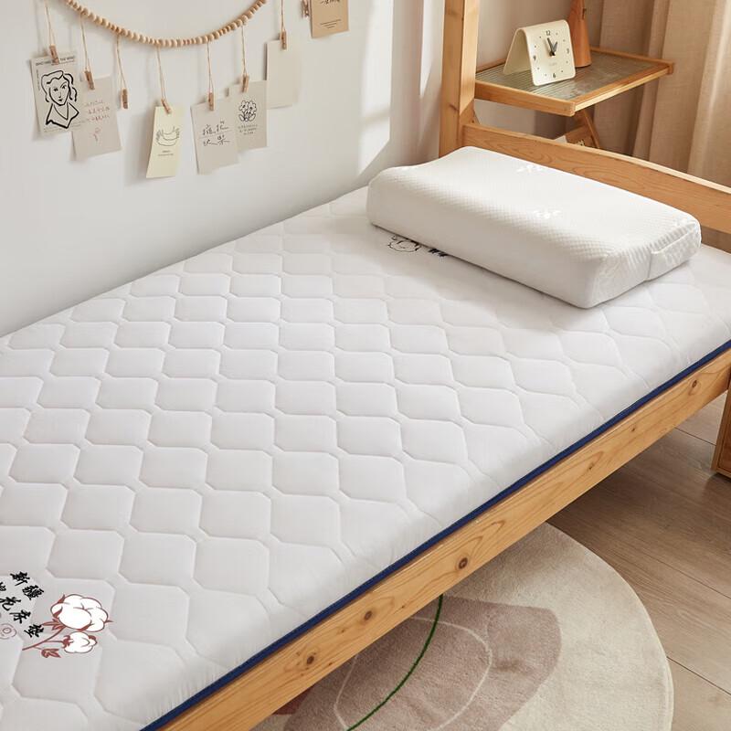 Faunen Spine Protection Mattress