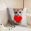 cushion cover Plush Cat Fabric Soft Double cute Sided Funny Print Sofa Cushion Cover Throw Pillow Covers