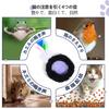 ORSDA Interactive Cat Toy Automatic Rolling Ball In a Hide and Seek for Indoor Meowing Cat Toy Mouse Catch Game Ball, High-Speed Pouch, Cats,