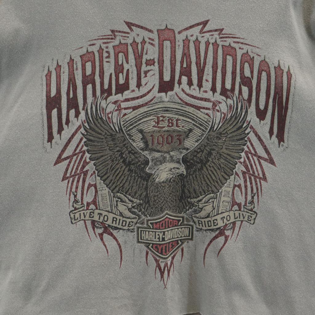 HARLEY DAVIDSON Long sleeve Short length T-shirt 2XL gray Ron T Women Used