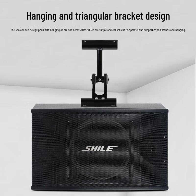 SHILE 10-inch Professional KTV Passive Speaker System