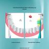 EBISU Four-Fold Bristle Adult Toothbrush