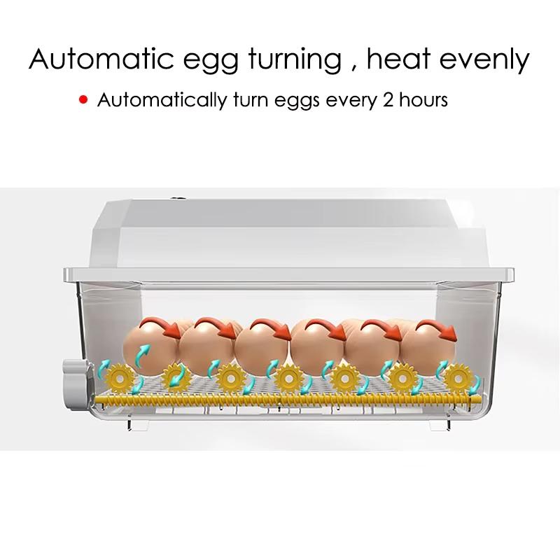 16 Eggs Dual-Electric Mini Household Brooder for Chicken Goose Duck Birds Farm Poultry Fully Automatic Turning Egg Incubator
