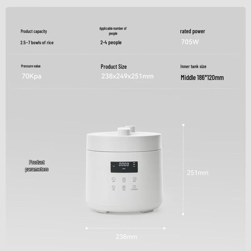 olayks Pentola a pressione elettrica intelligente spina CN (adattatore incluso)