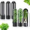 Vanilla Fresh Keeping Box Household Vegetable Fresh Keeping Device Coriander Herbal Travel Fresh Keeping Box