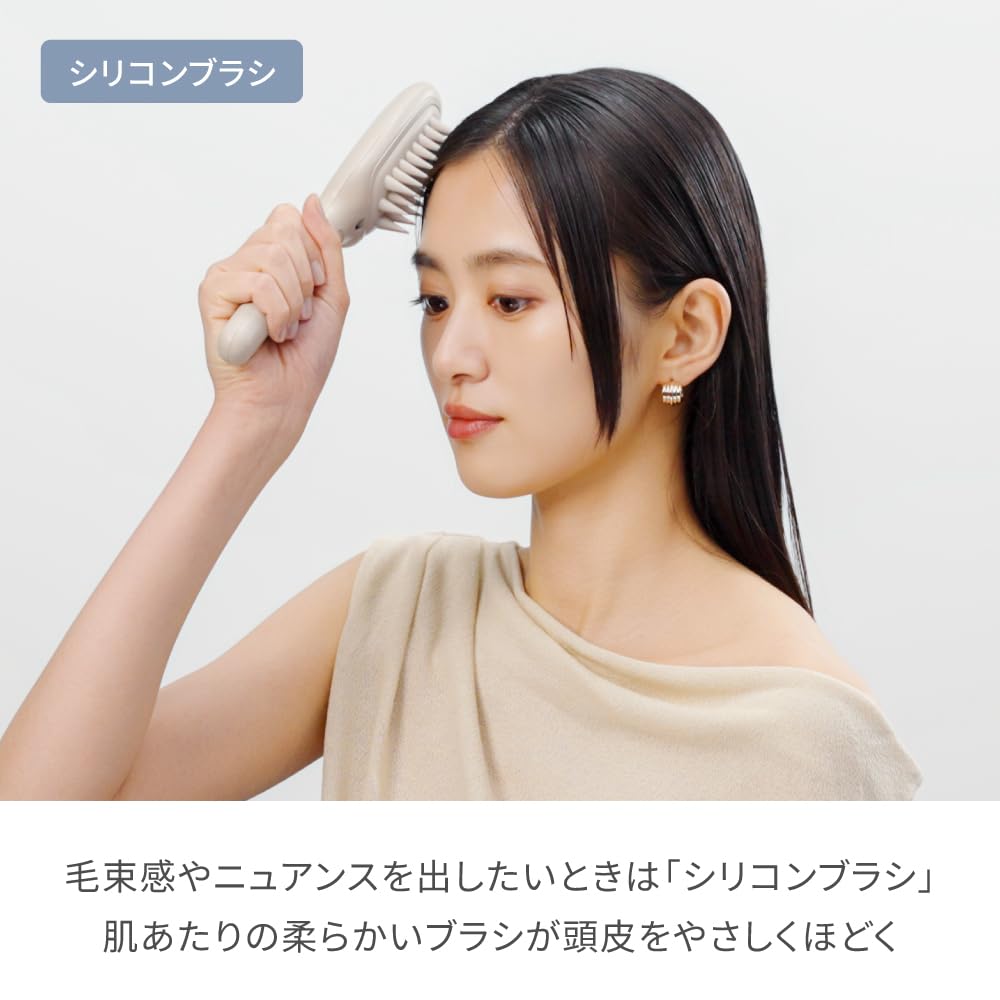 FESTINO Salon Care Scalp Ion Brush Negative Ion Sonic Brush with Metal and Scalp Gift SMHB-051, Vibration, 2-Way Silicone, Battery-Operated, Care,