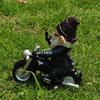 Vertical Middle Finger Riding Motorcycle Dwarf Elderly Garden Home Office Decoration Resin Ornaments Handicrafts Birthday Gifts