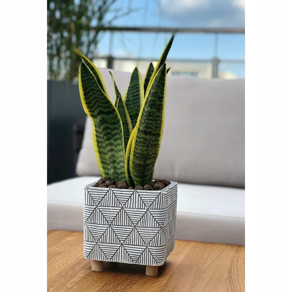Concrete Flowerpot On Ethnic Legs 13 Cm Gray