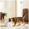 Xiaomi Smart Pet Fountain 2