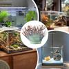 Seeanemonen-Dekorationen für Aquarium Seeanemonen-Ornamente Silikon für Aquarium Künstliche Aquariumdekorationen für Süßwasser