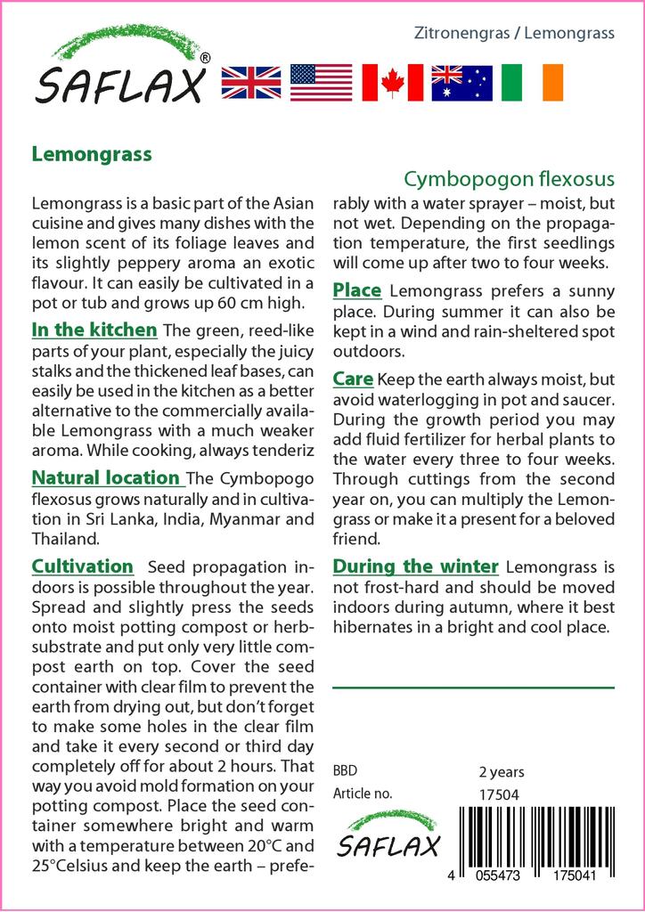 SAFLAX Zitronengras - 50 Samen - Cymbopogon flexosus