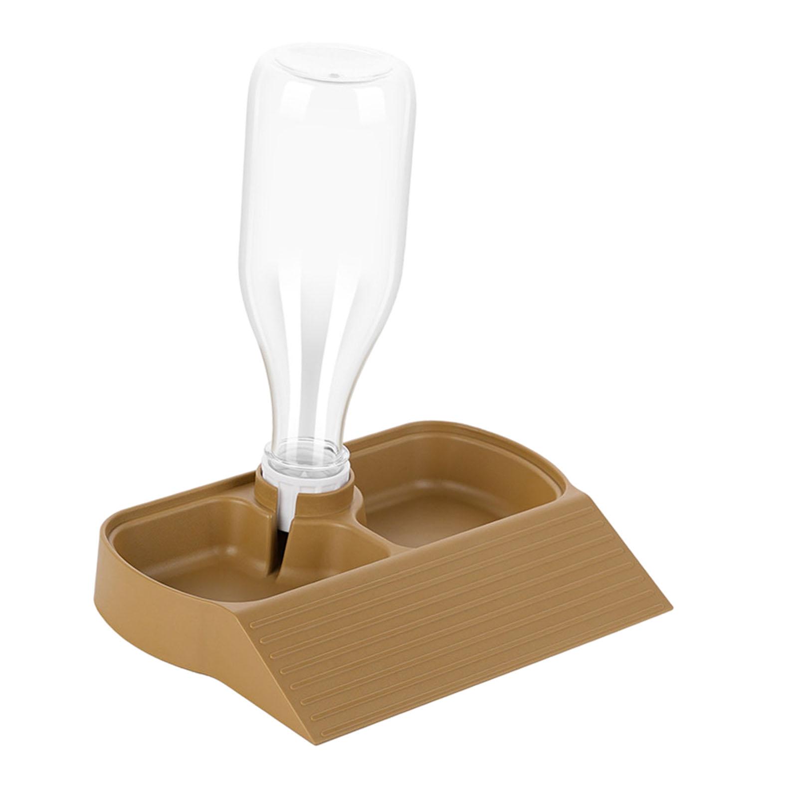 Reptile Feeder Reptile Food Dish Terrarium Bowl Multifunctional Sturdy Feeding Accessories Reptile Waterer for Amphibians