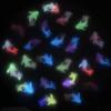 Luminous Dolphin Nail Art Resin Smudge Pack