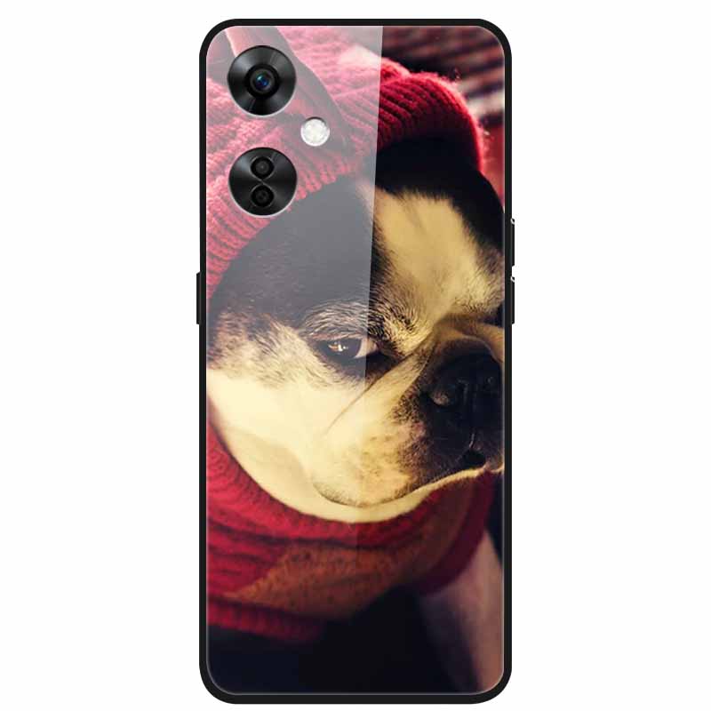 For One Plus Nord CE 3 Lite 5G Case N30 Tempered Glass Hard Back Cover for Oneplus Nord CE3 Lite N 30 Cases Bumper 3lite CE3Lite
