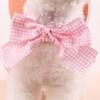 Convenient Pet Collar Faux Pearl Decoration Layout Props Adjustable Pet Bib